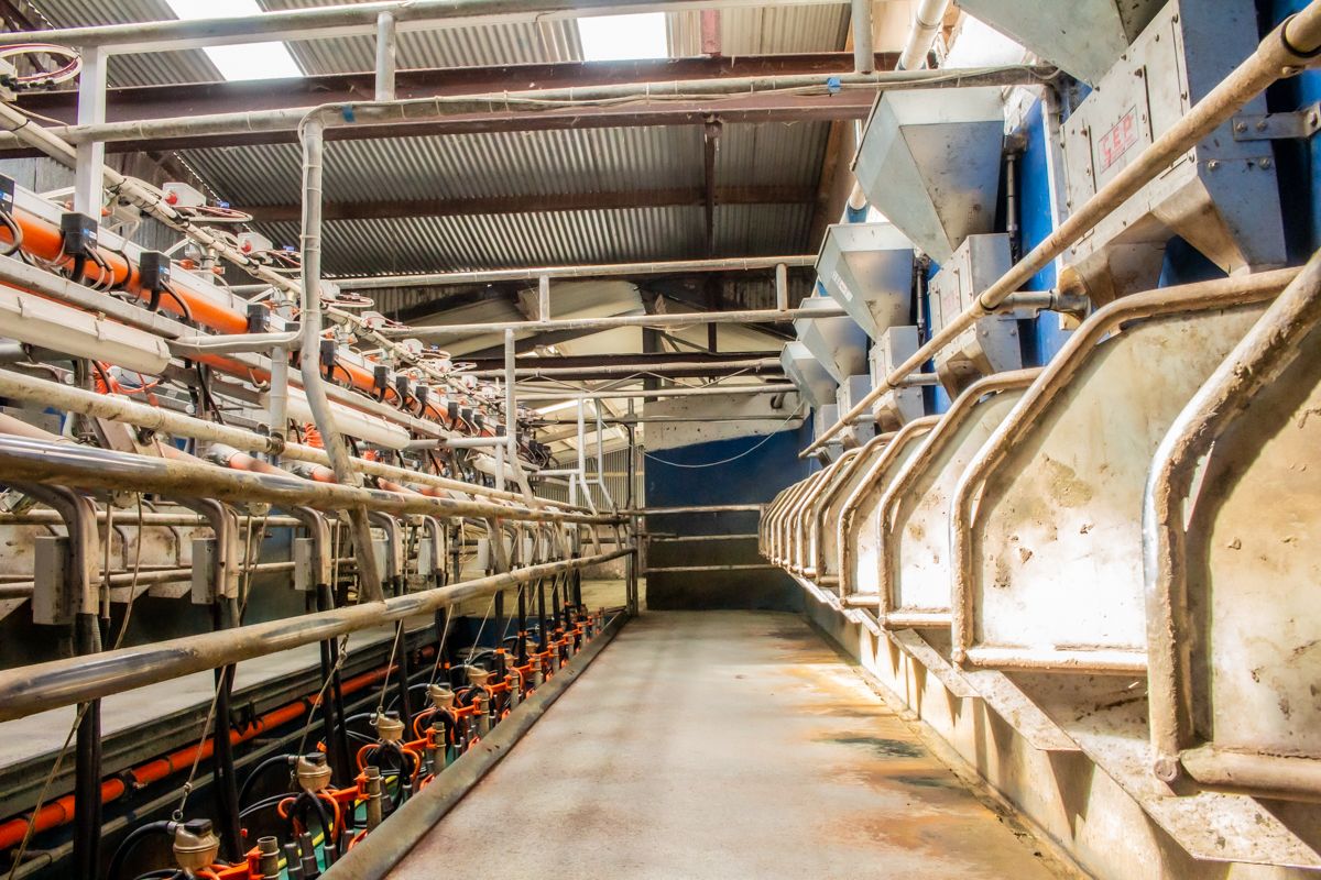 ‘Time to spell out problems in north’s dairy industry’ – NI farmers