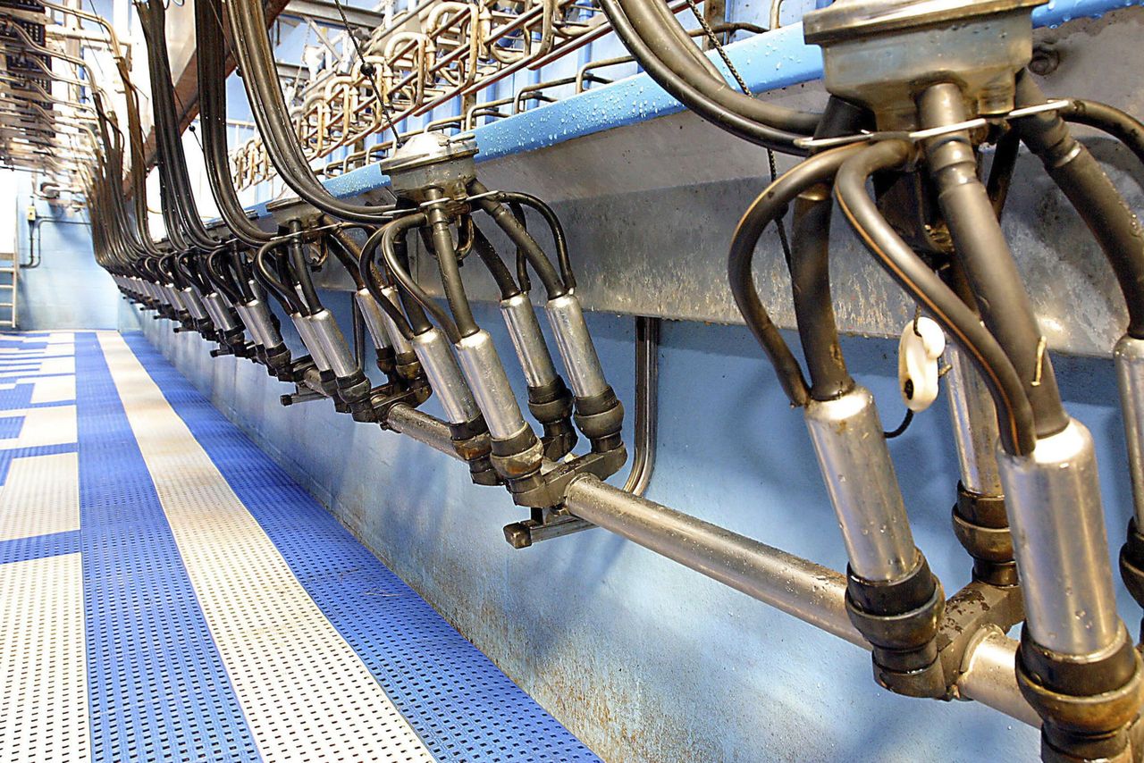 EU milk deliveries to grow by more than 1% in 2016 - Commission