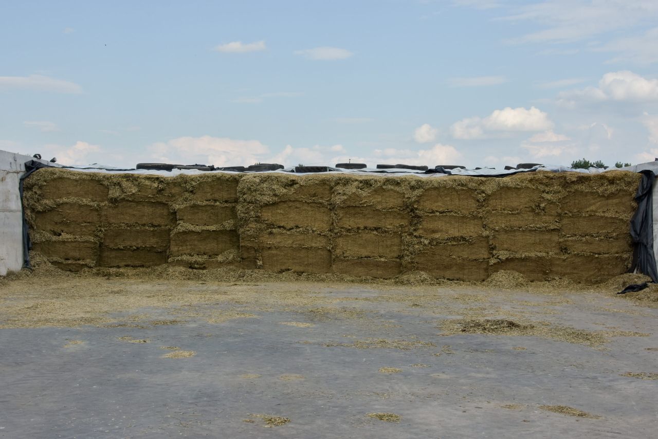 Minimising waste from your silage pit this winter