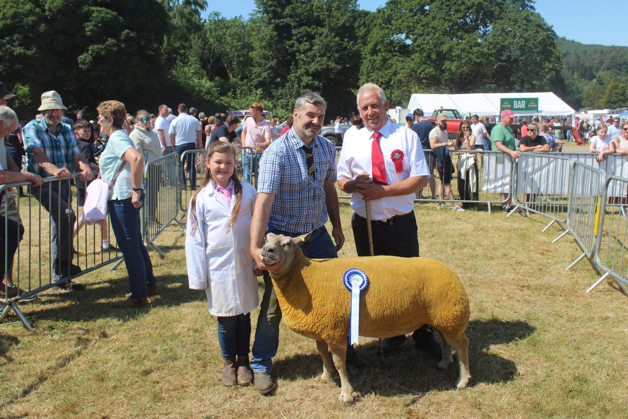 Lamb markets ‘counterproductive’ to building future for sector