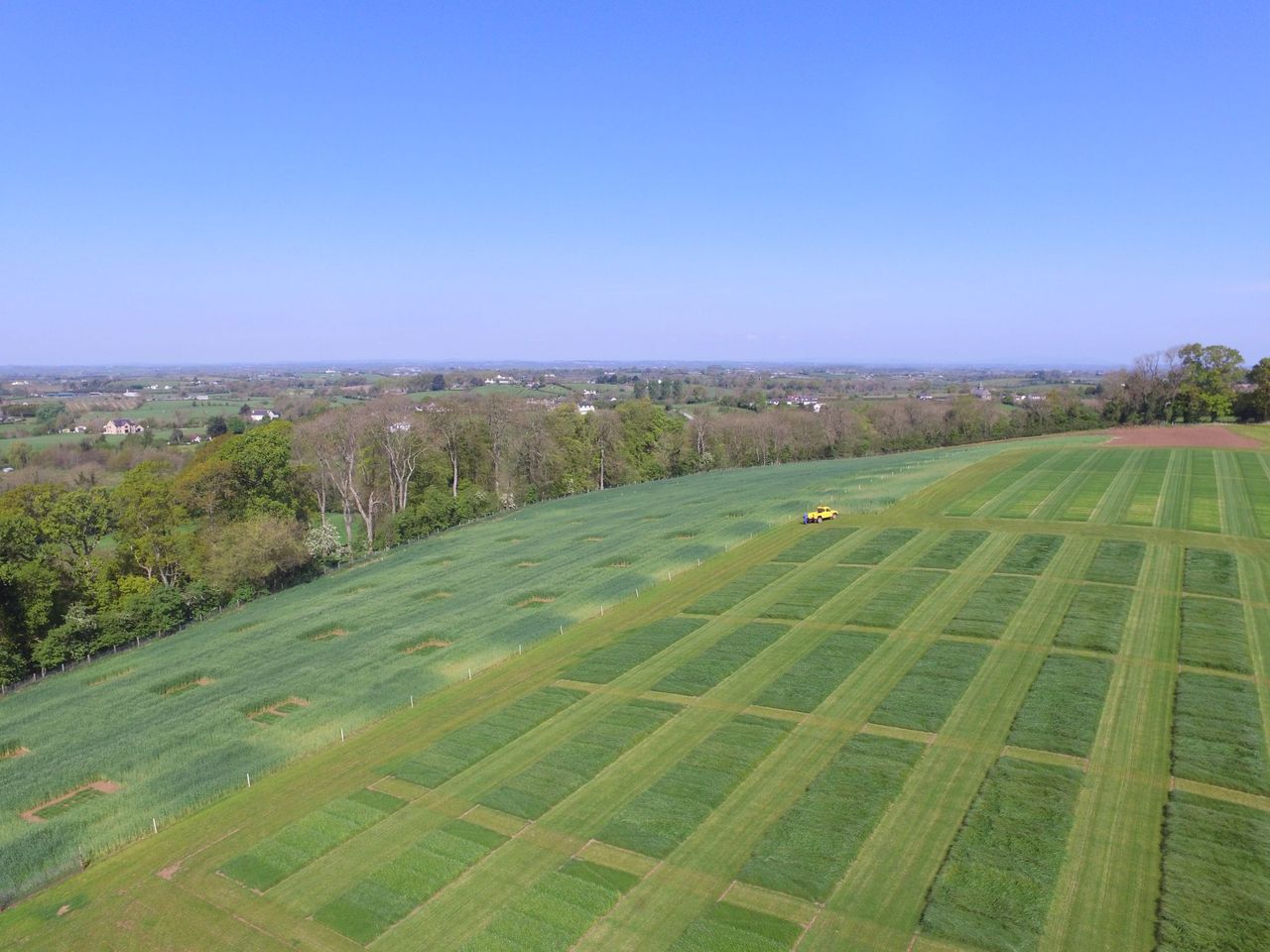 More From Grass event is a 'must-attend opportunity'