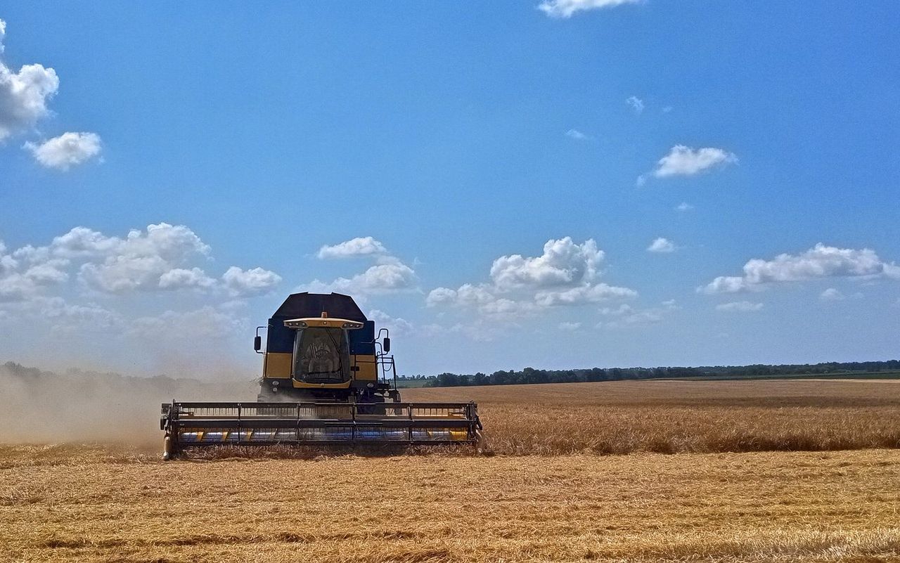 Ukraine: Communities need ‘immediate support’ to produce food