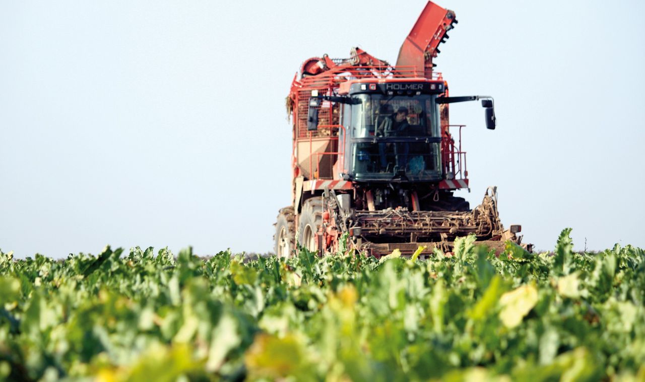 Bayer to appeal EU General Court ruling on neonicotinoids ban