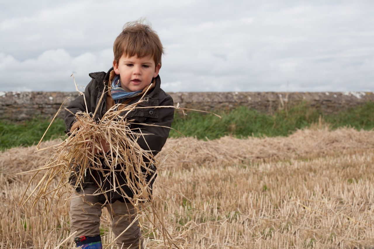 NI family farms could face ‘significant tax liabilities’ – accountants