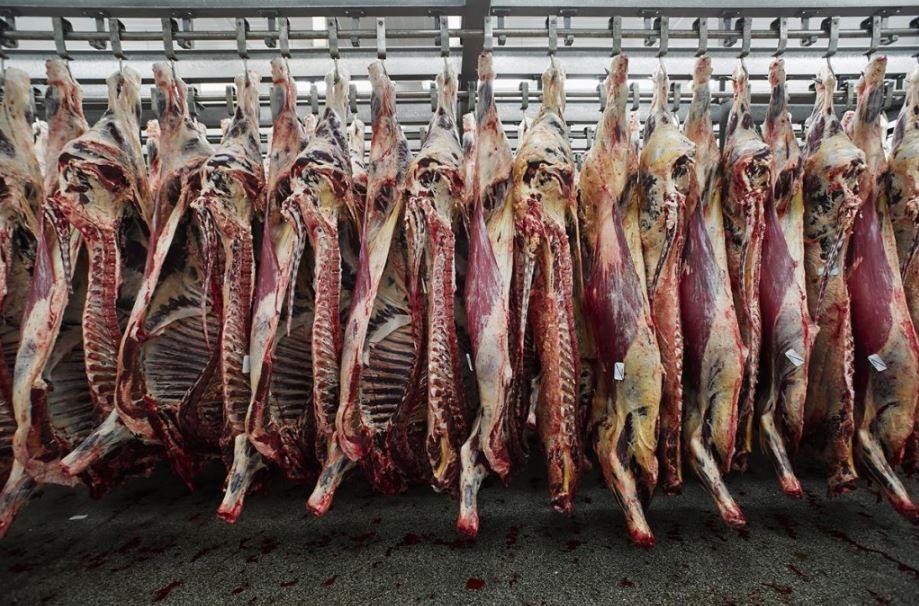 NI beef farmers encouraged to negotiate on prices