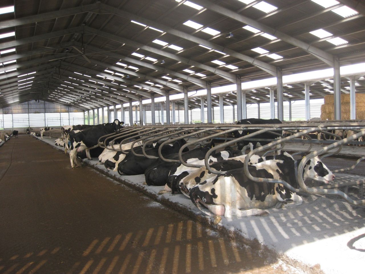 Farmers urged to secure winter bedding supplies amid sawdust shortage