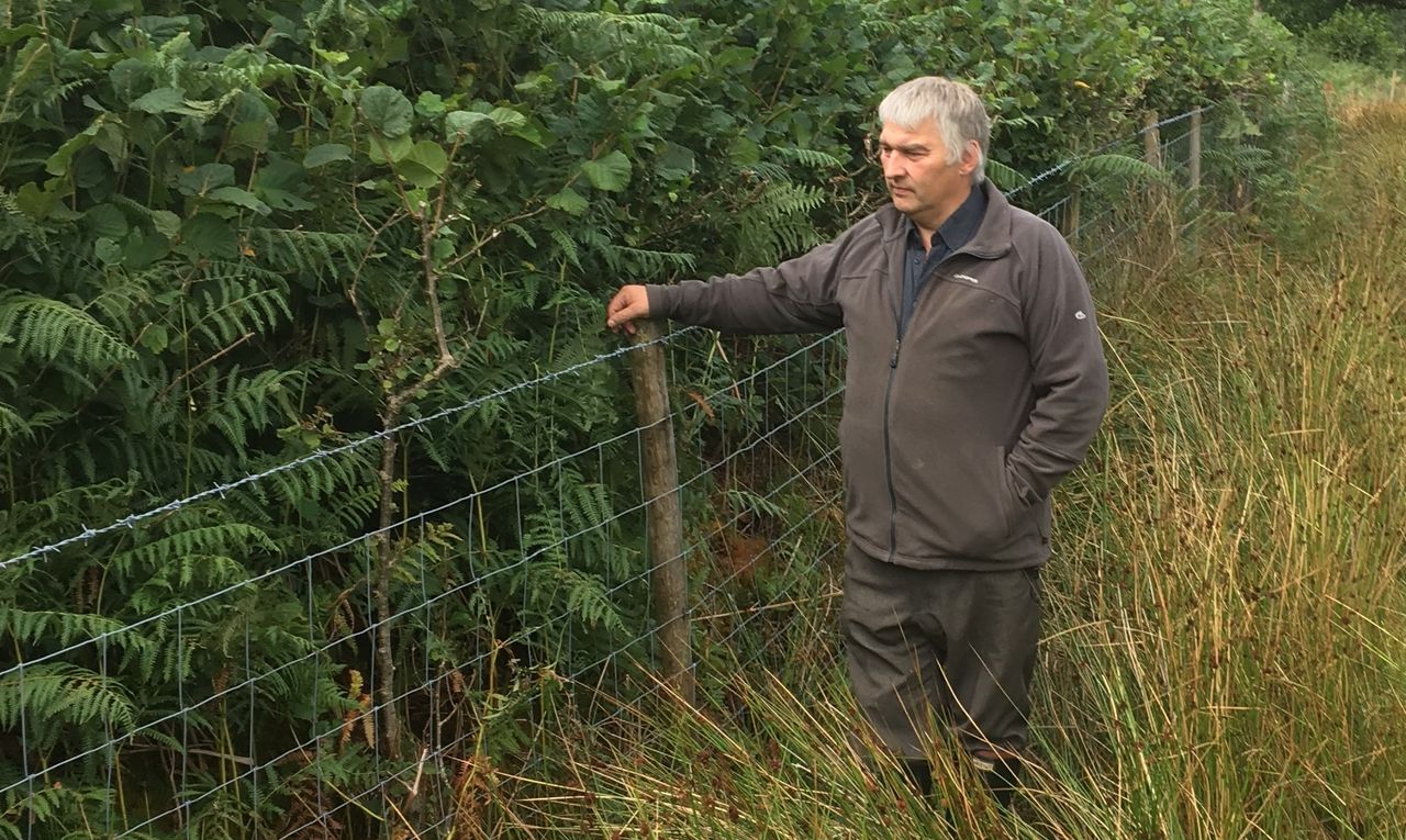 Welsh farmers voice concerns of 'lack of clarity' surrounding public goods