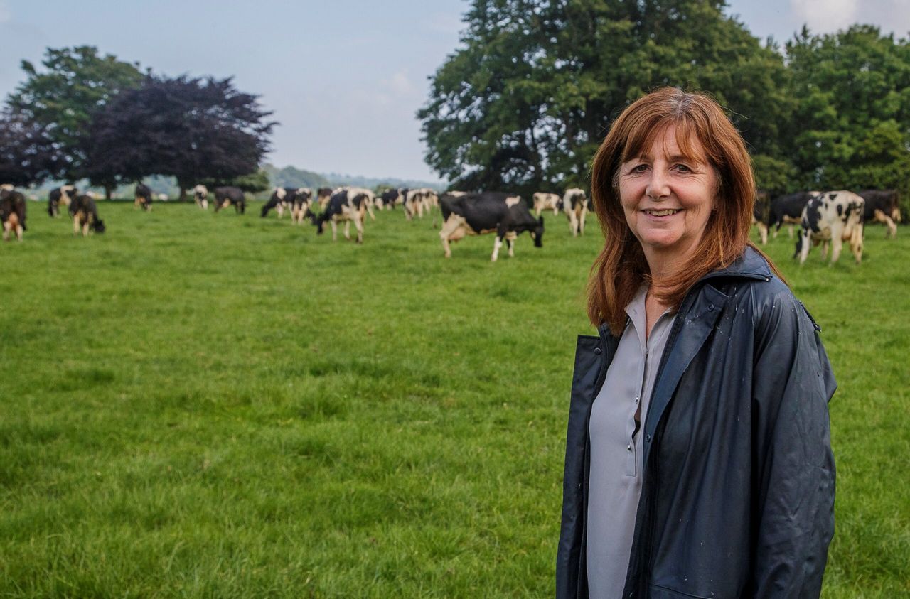 Wales: Progress on Sustainable Farming Scheme moves forward