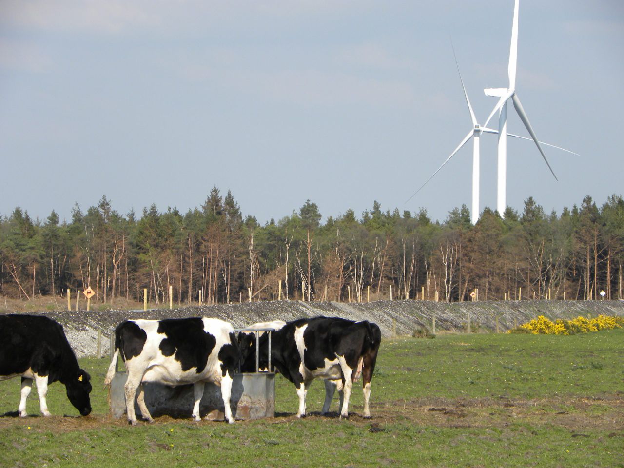 DARD to host on-farm renewable energy event