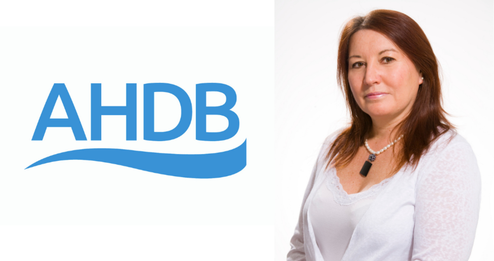 AHDB CEO Jane King to step down from role
