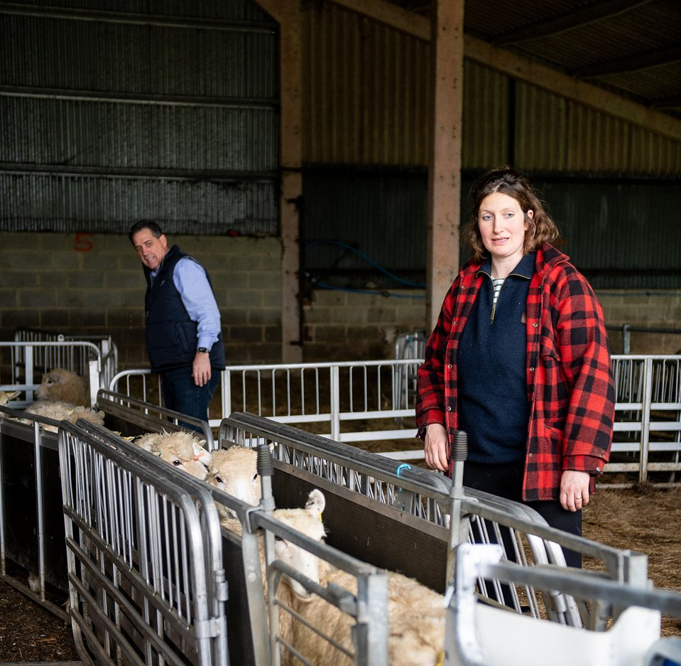Clipex Fencing presents sheep shearer with 'All in One Sheep Handler'