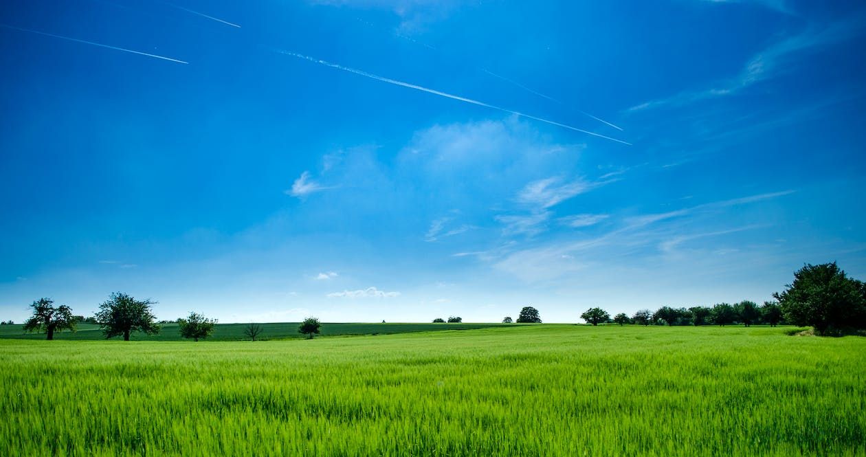 Farm organisations urge NI farmers to give views on carbon budget
