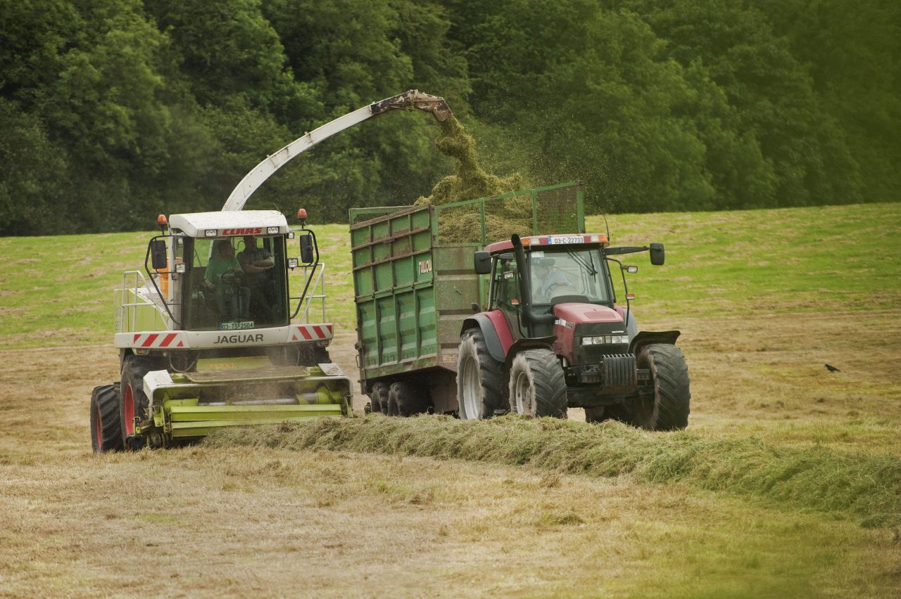 Cutting silage? Here's how to make the neighbours jealous with your quality silage
