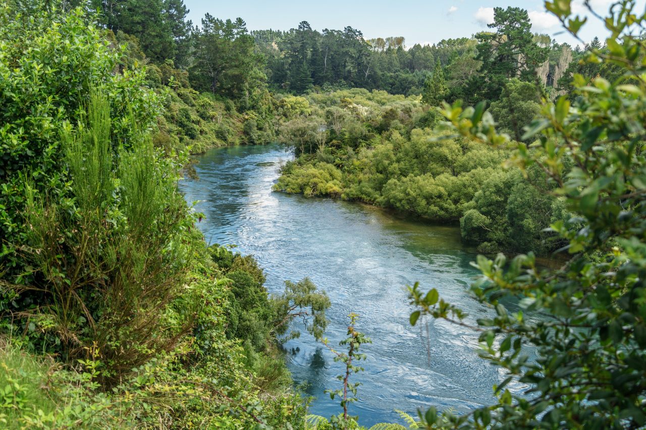 Review claims ‘fundamental flaws’ in New Zealand water targets