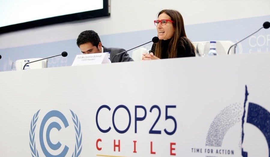 COP25: 'Climate policy must support British farming’s net-zero ambitions'
