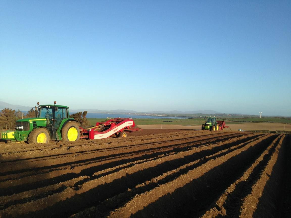 Agri-food Brexit impact: ‘Even printer ink was taking 6 weeks’