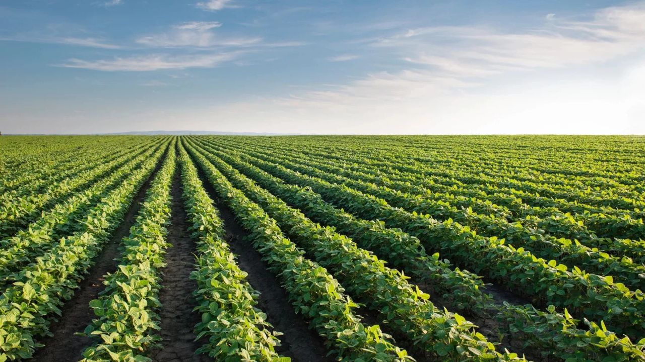 Soil Association welcomes new ASA regenerative farming guidelines