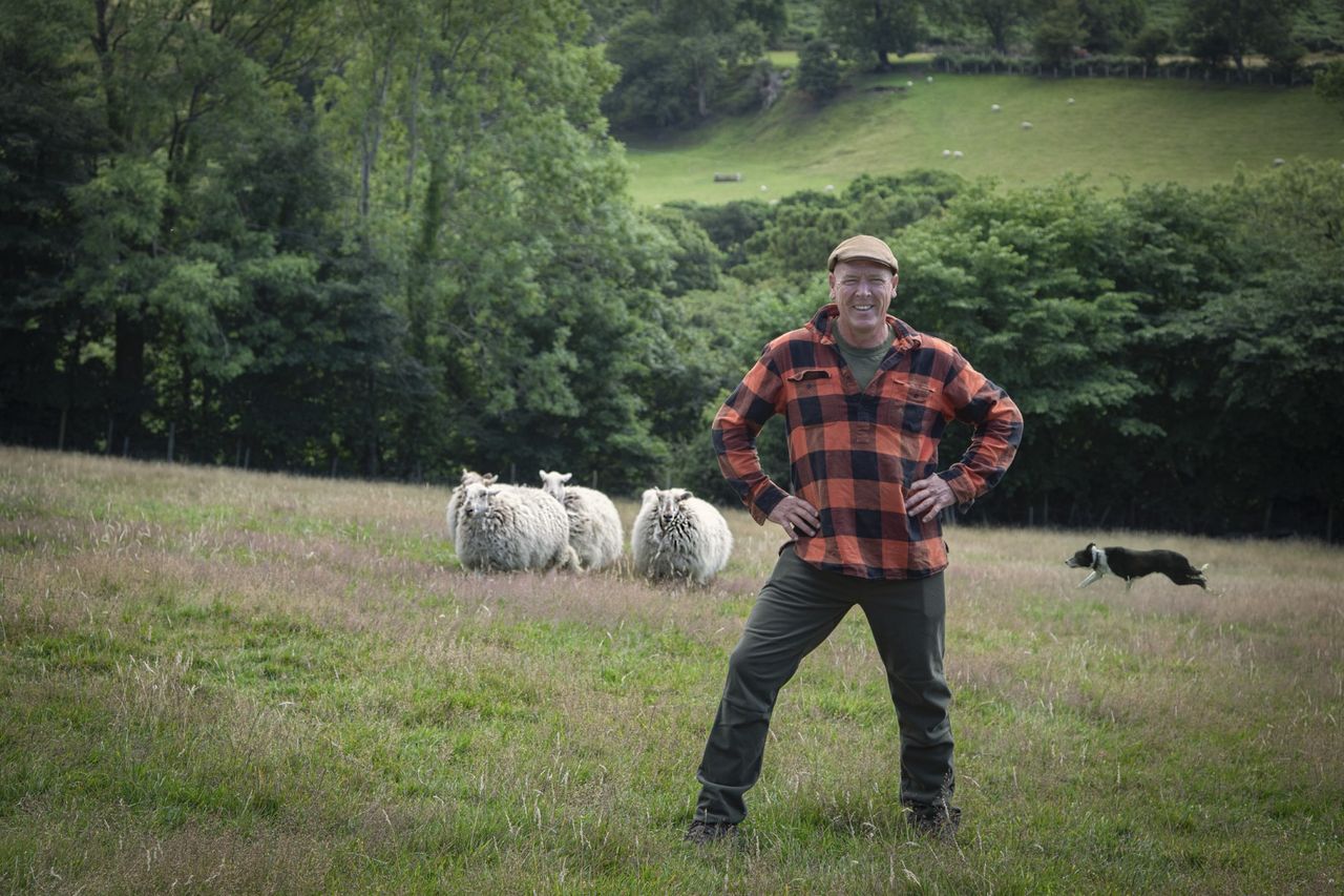 Well-known Welsh farmer seeks grey squirrels for burger meat