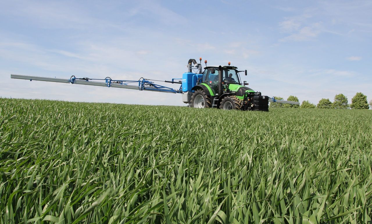Wheat DNA shows visually clean crops had high levels of Septoria