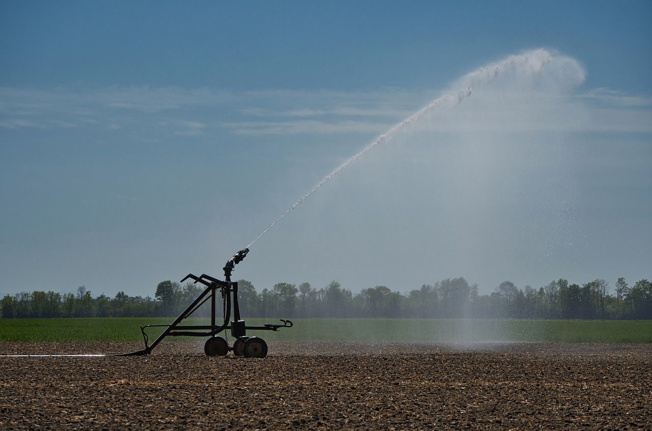 Dam breach could turn Ukraine farmland into 'deserts'