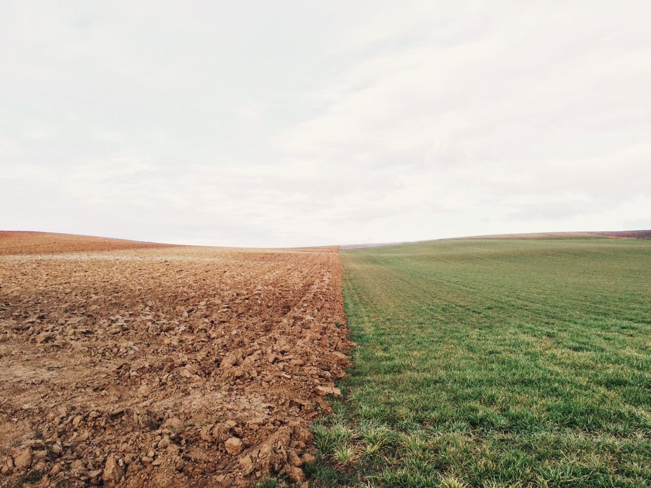 Investment in soils could not only benefit the environment – research