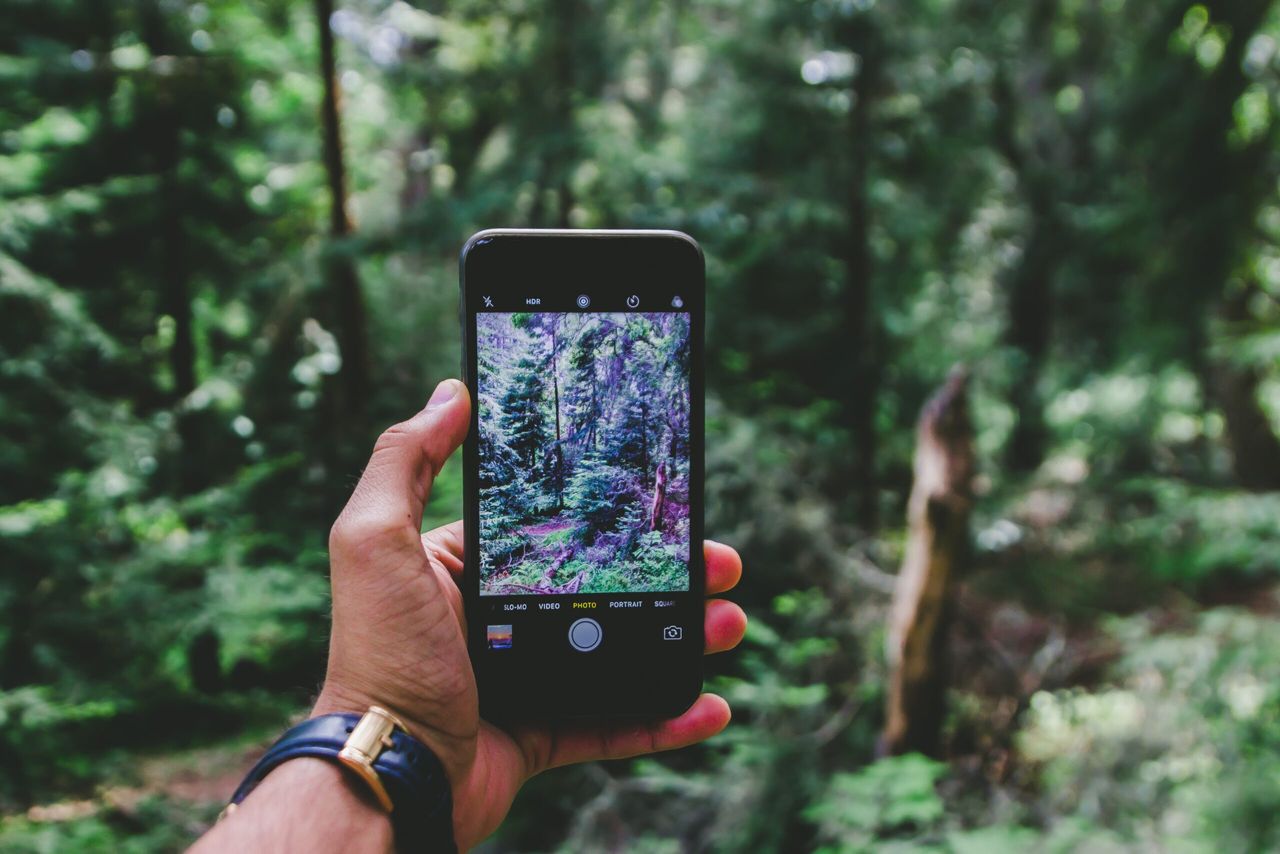 Photos sought for 'Women in Forestry' People's Picture