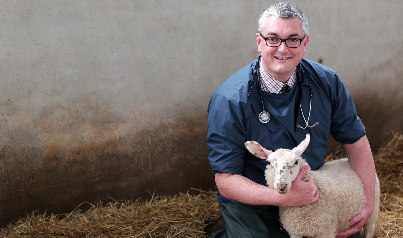 Vets set out action plan to help British farms achieve sustainability goals