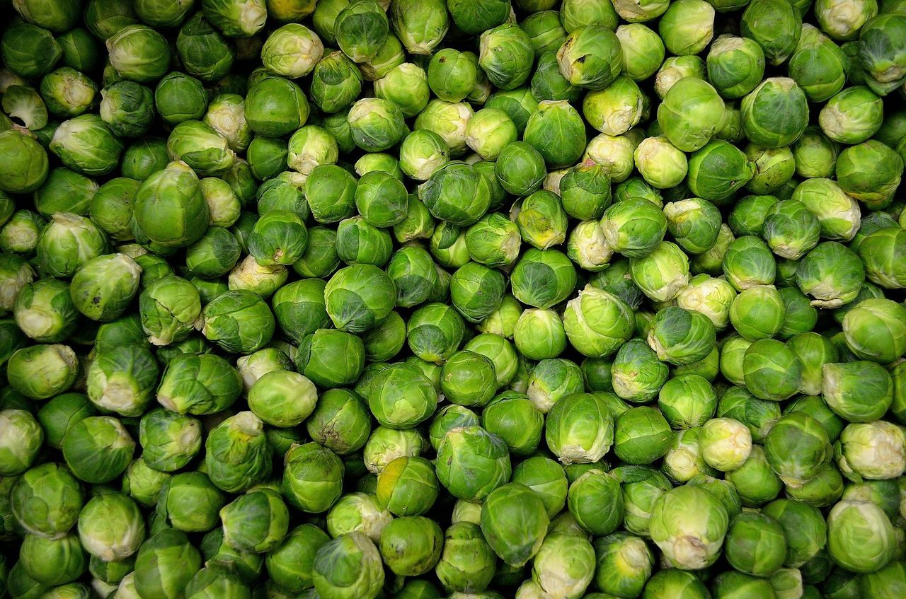 Hail the humble brussels sprout