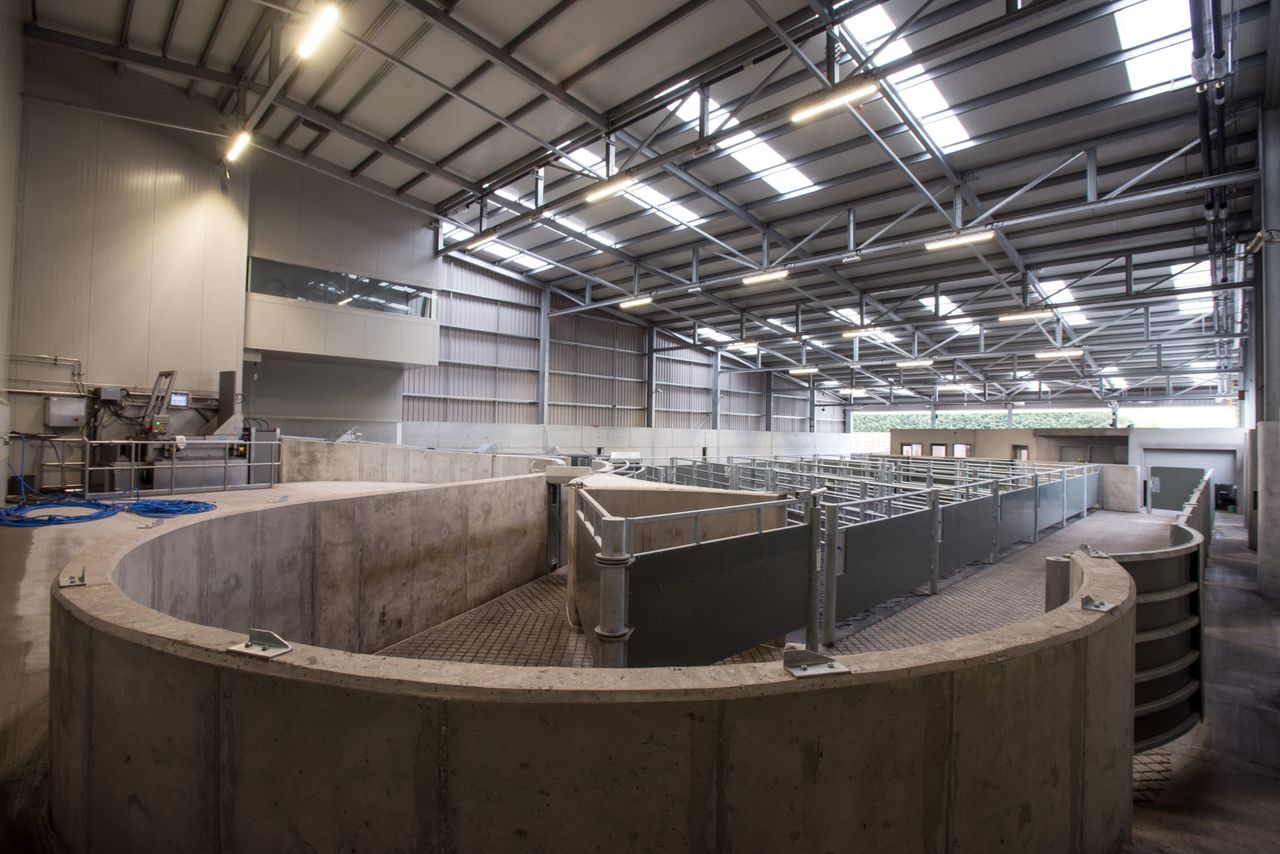 See inside ‘the world’s first’ carbon-neutral beef factory