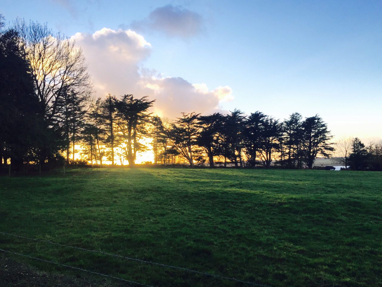 Embrace FARM sets up fourth support network