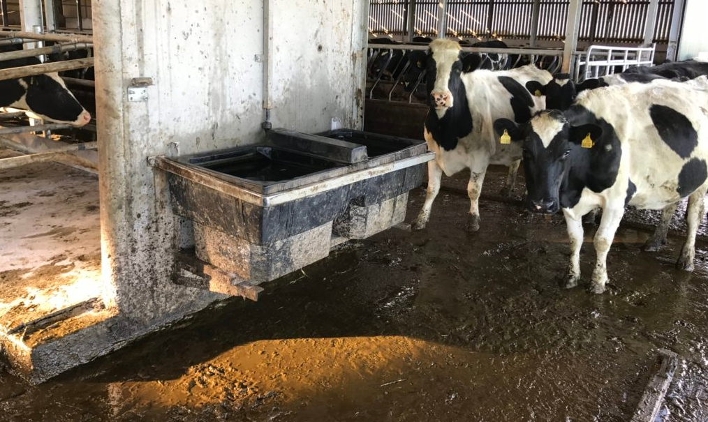 TFA welcomes clarity on Farming Rules for Water