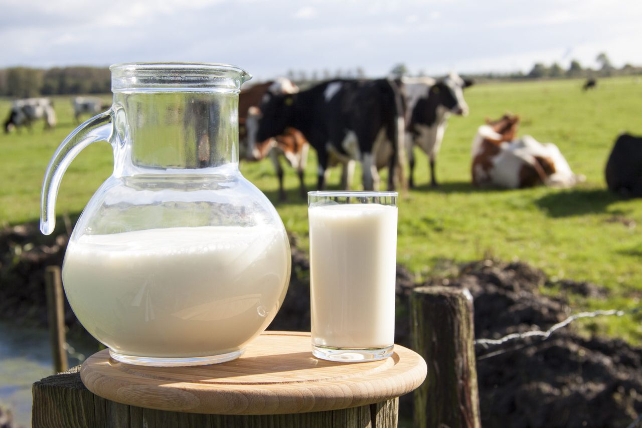 Sainsbury's becomes second supermarket to cut milk price