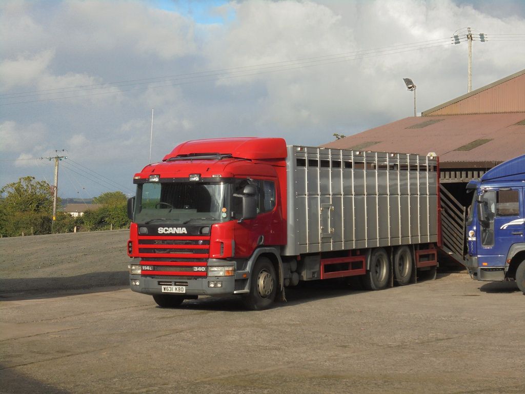 Animal welfare is a 'top priority' for any farmer - NFU
