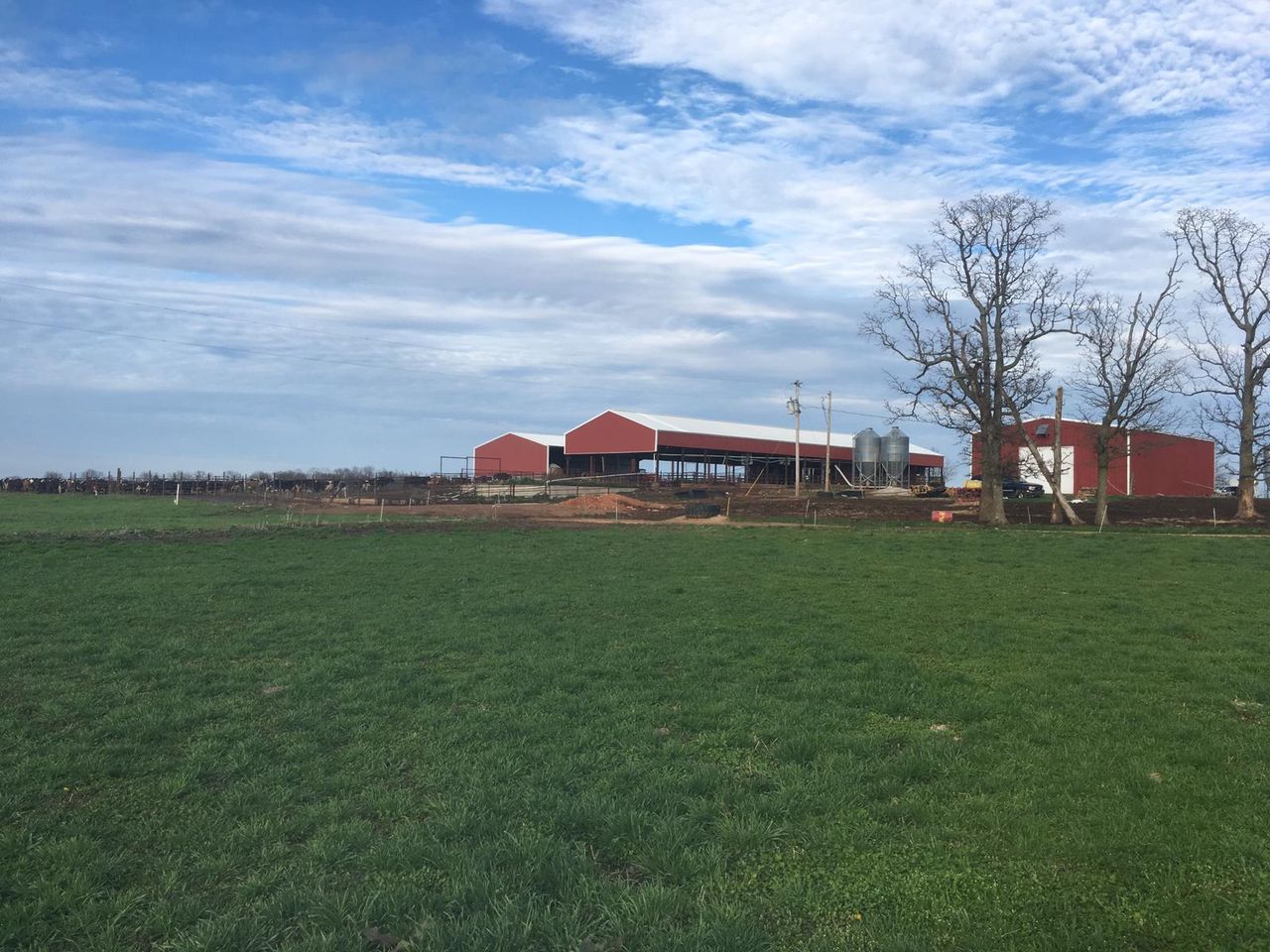Dairy focus: Milking 300 Jersey-cross cows on a grass-based system in the US