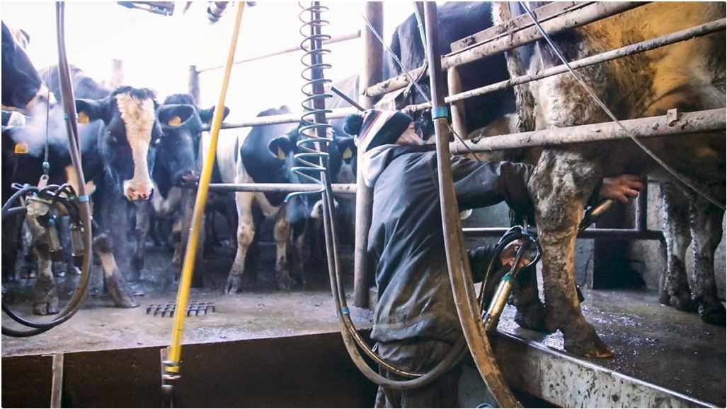 DEFRA's labour shortfall survey - deadline approaches
