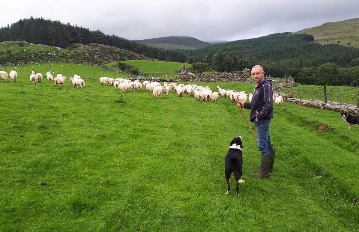 Stoc+ project encourages flock keepers to regularly assess body condition