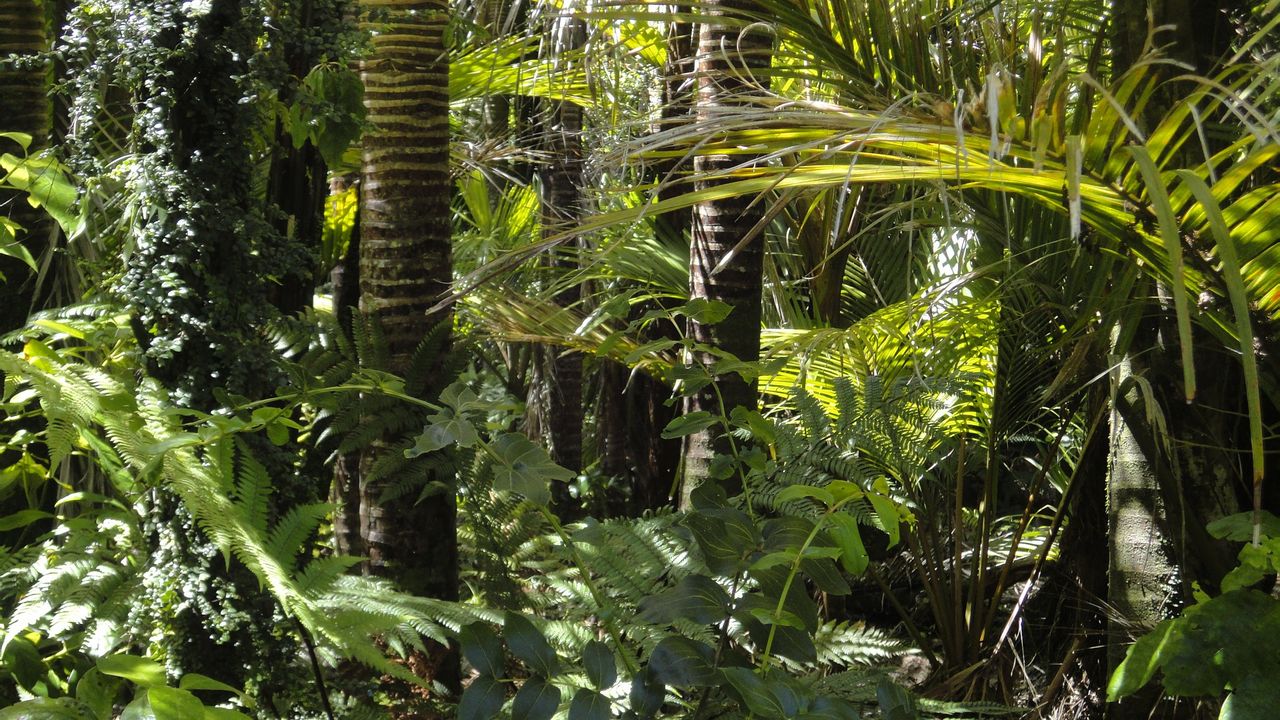 BNP limits finance to customers of beef or soybean from converted Amazon land