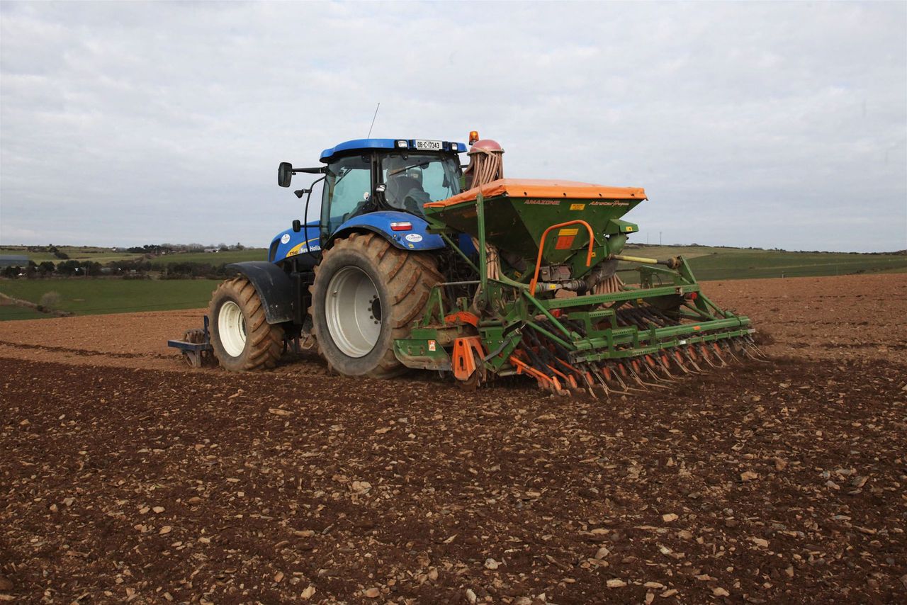 Tillage farmers may have planted more winter barley than ever before