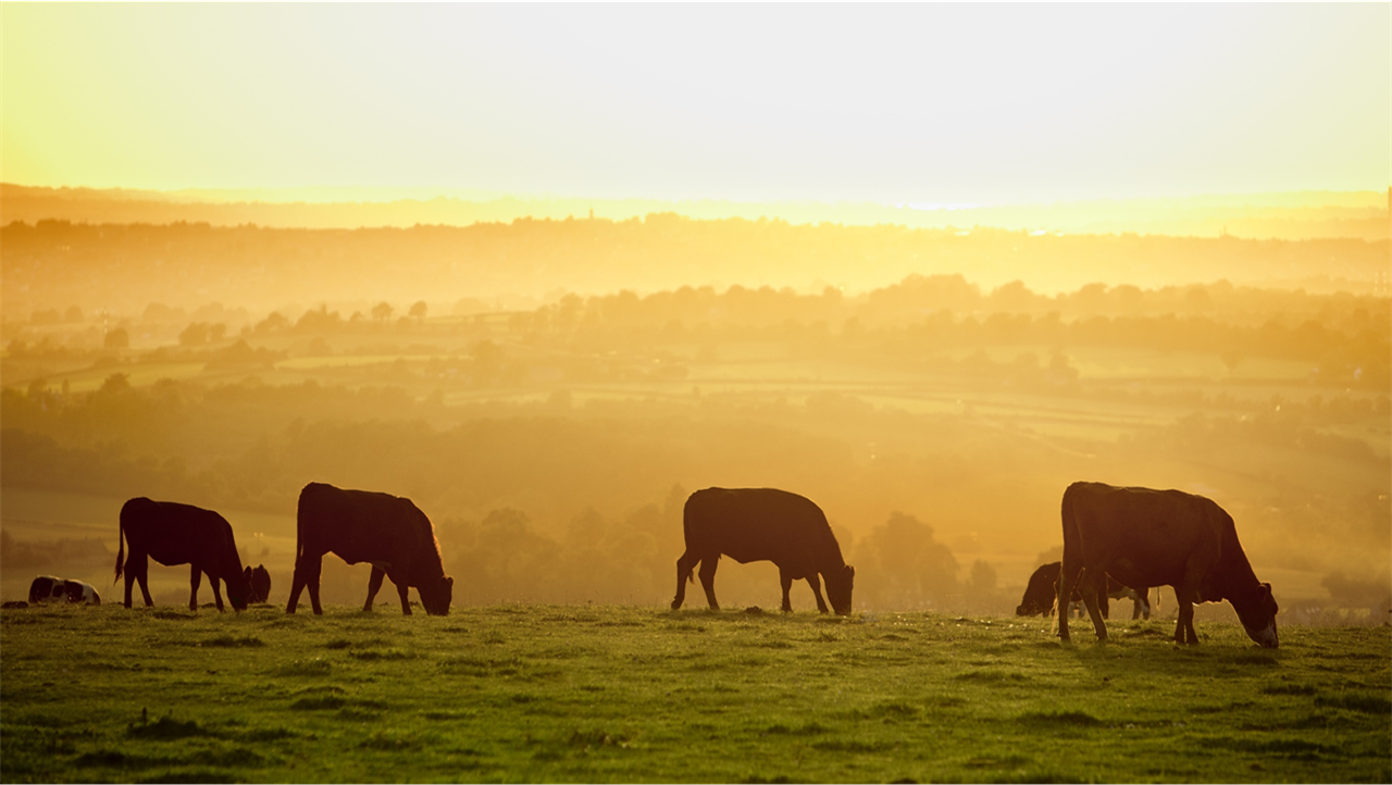 2022 set to be the warmest year on record - Met Office