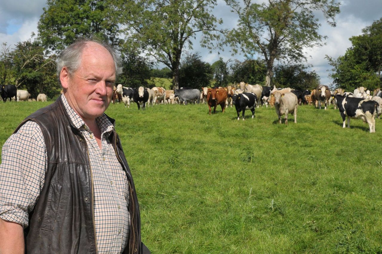 Vet urges vaccination of weanlings against pneumonia attack