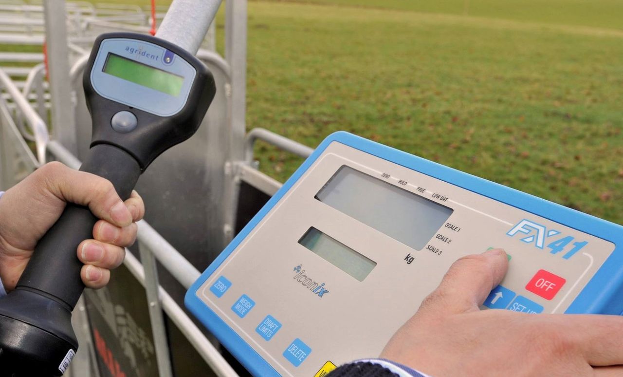 Allflex acquires German agri-tech company