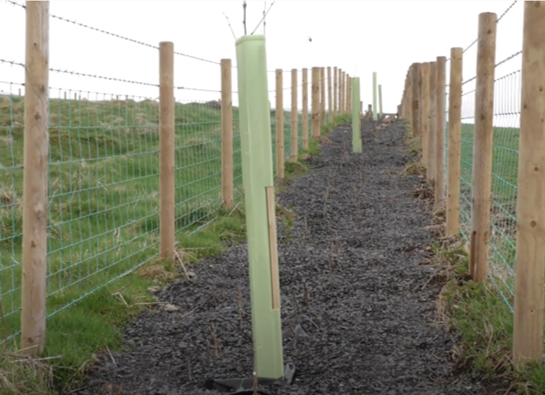 Could you be one of NI’s first Environmental Technology Farms?