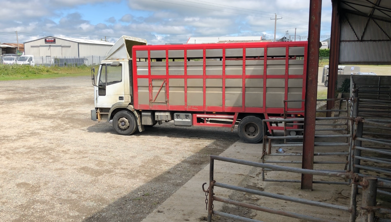 NI lamb exports to ROI running ahead of 2021 levels