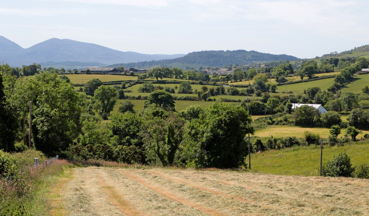 Farmers called on to have their say on the future of forests in Down