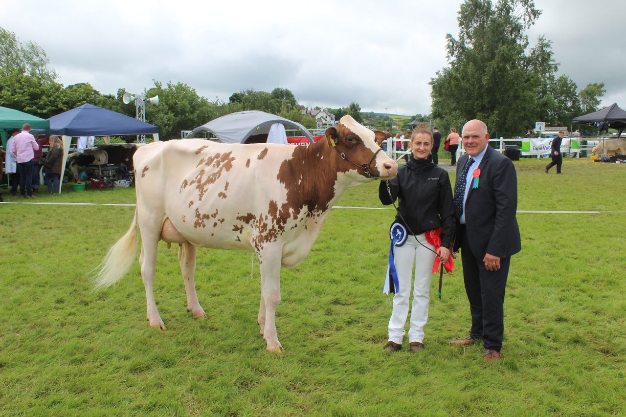 Improved genetics ‘delivering across all aspects’ of NI dairy sector – breeder