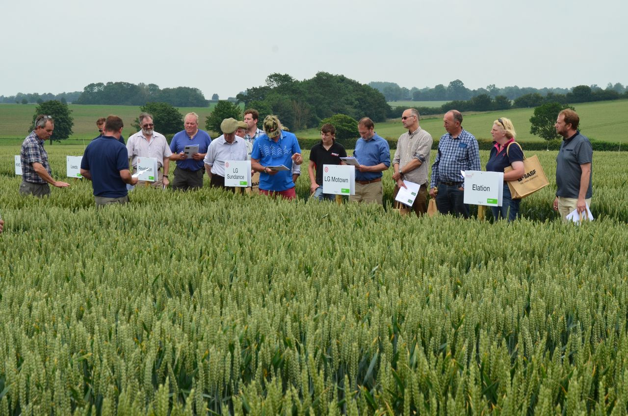 Fram Farmers’ Trials Day attracts a record attendance
