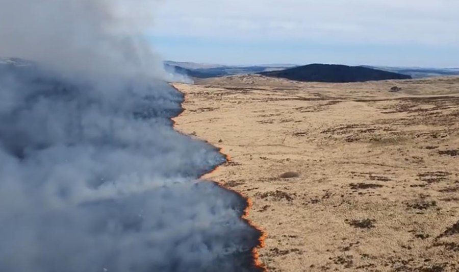 Galloway wildfire spans 15km² of gorse, grassland and forest