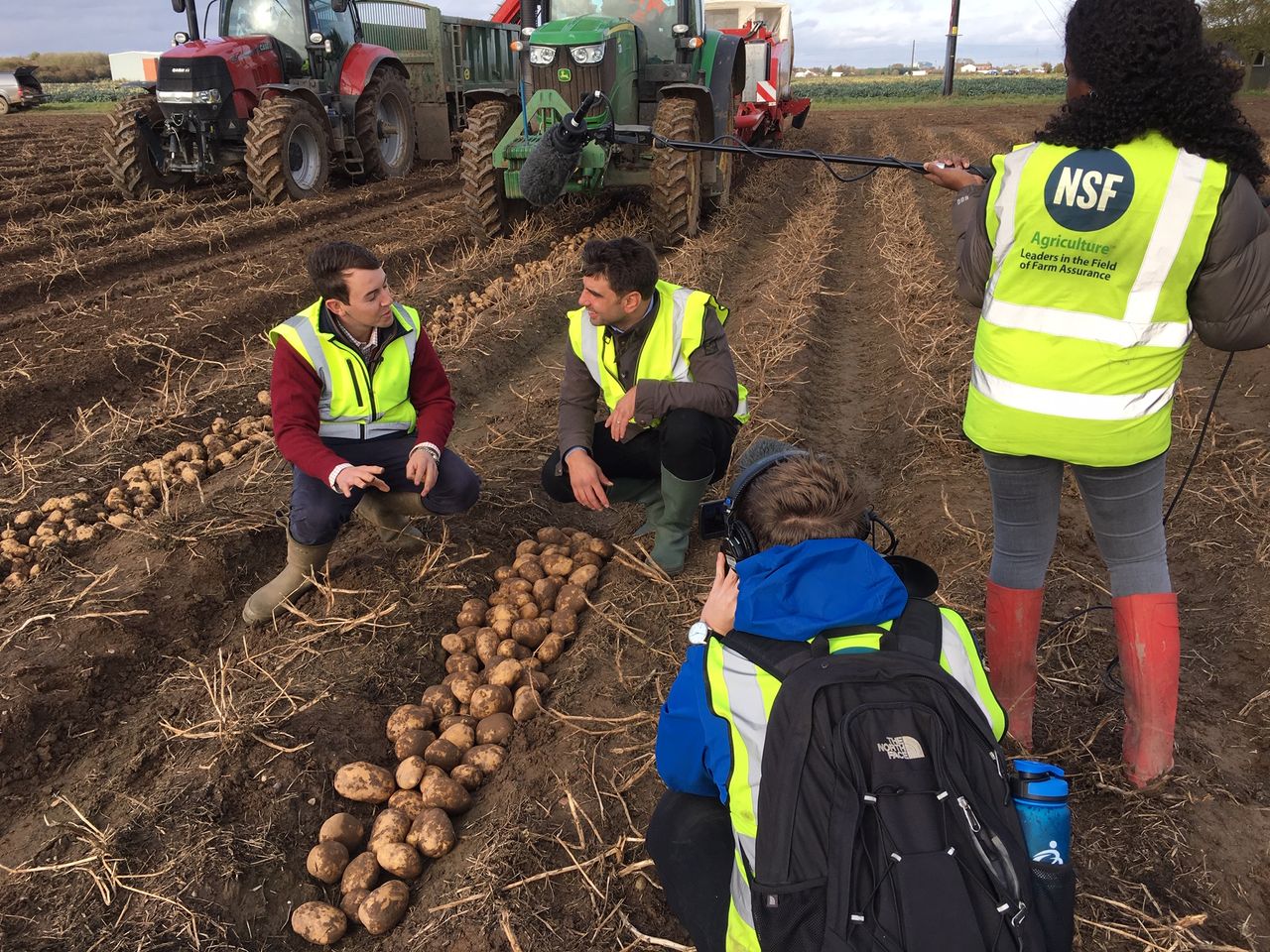Potatoes Next Generation: Applications open at BP2019