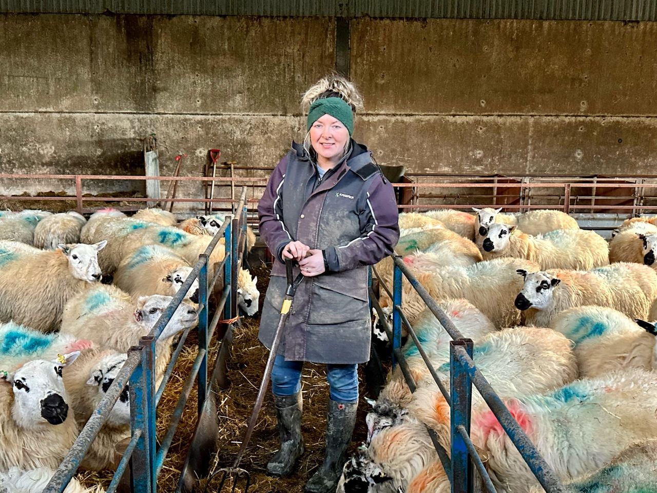 HCC celebrates women in red meat production ahead of Women's Day