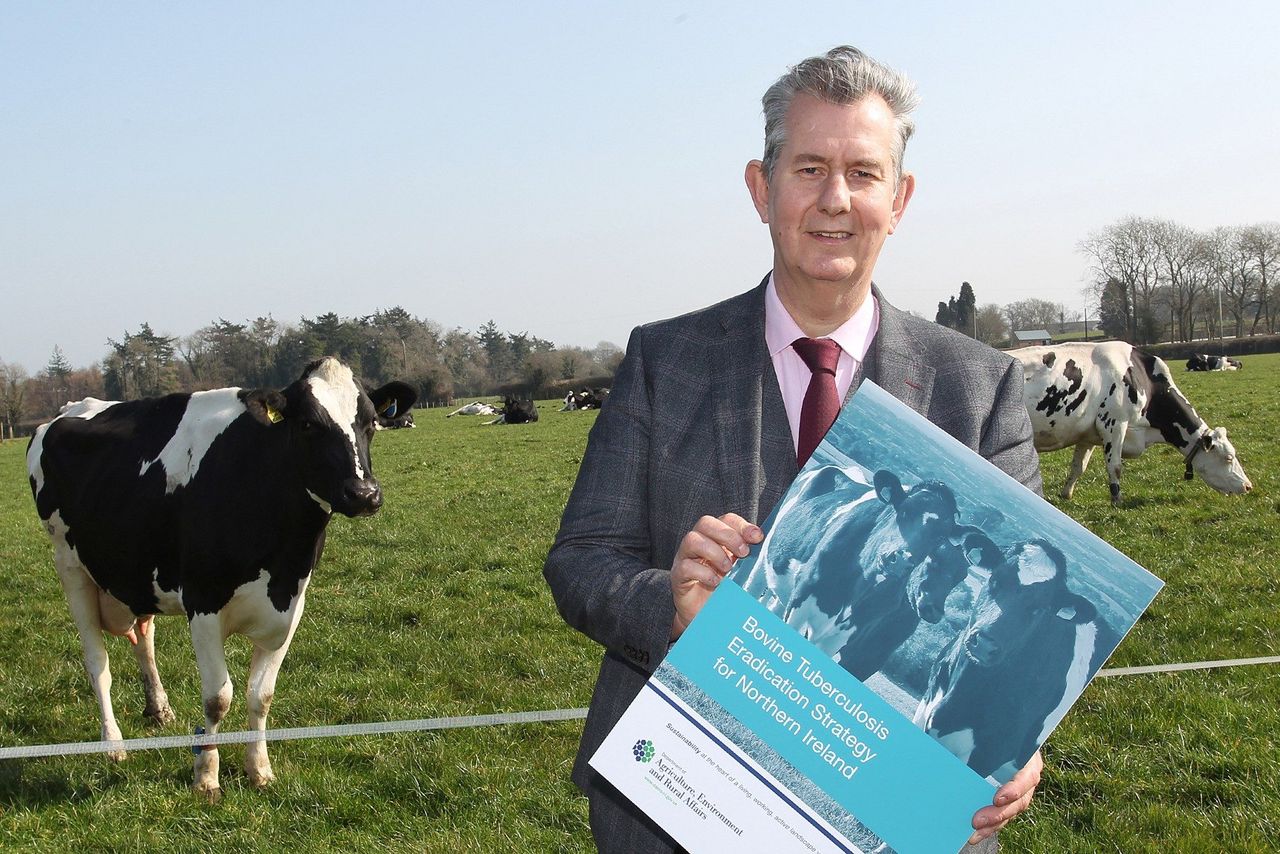 NI: Long-term bovine TB eradication-strategy launched